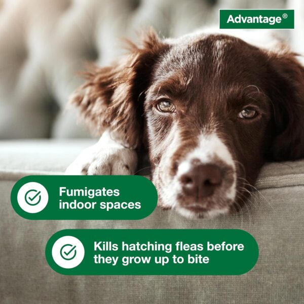 Advantage Household Fogger | Kills Fleas & Ticks | Flea Fogger for Home | 2 oz. Canisters (Pack of 3) - Image 5