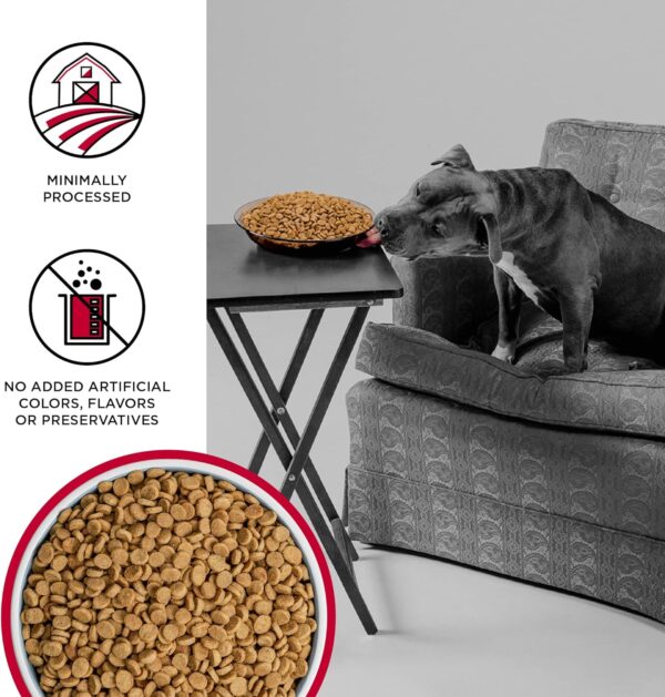 BIXBI Liberty Grain Free Dry Dog Food, Beef, 4 lbs - Fresh Meat, No Meat Meal, No Fillers - Gently Steamed & Cooked - No Soy, Corn, Rice or Wheat for Easy Digestion - USA Made - Image 3