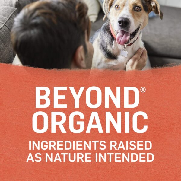 Purina Beyond Organic Wet Dog Food, Organic Chicken & Sweet Potato Adult Recipe Ground Entrée With Broth - (Pack of 12) 13 oz. Cans - Image 4