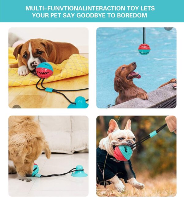 Dog Toys for Aggressive Chewers Interactive Teething Boredom and Stimulating Tug of War Suction Cup Puzzle Indestructible Puppy Rope Enrichment Teeth Cleaning Ball Accessories for Small Large Dogs - Image 7