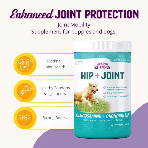 Health Extension Chondroitin with Glucosamine for Dog, Arthritis Pain Relief Vitamin, Joint & Hip Supplement Cheese Flavored Powder, Suitable for All Types of Puppies & Dogs, (8 Oz / 226 g) - Image 4