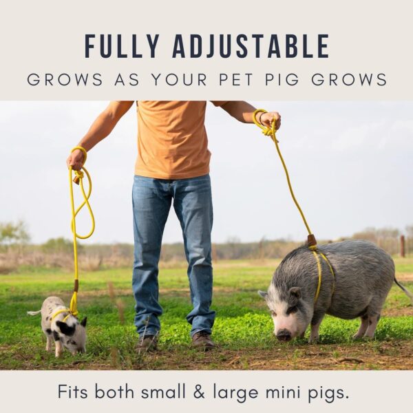 Mini Pig Harness & Leash (Small) Fully Adjustable, Infinity Style Lead, Step-in Harness, Potbelly Pig Supplies, All-in One, Pig Leash, Ideal for Small & Medium Pet Pigs (Small, Olive Green) - Image 3