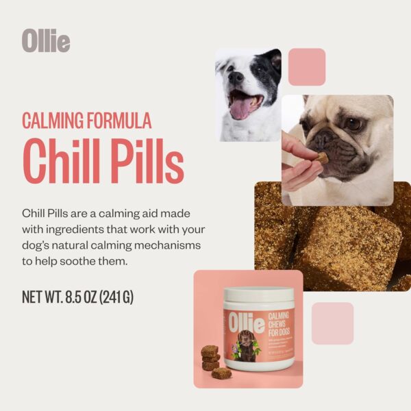 Ollie Chill Pills Calming Supplements for Dogs - Anxiety Relief for Dogs - Calming Bites for Dogs - Dog Melatonin - Dog Stress and Anxiety Relief - Calming Chews for Dogs - 60 Count Appx. - Image 2