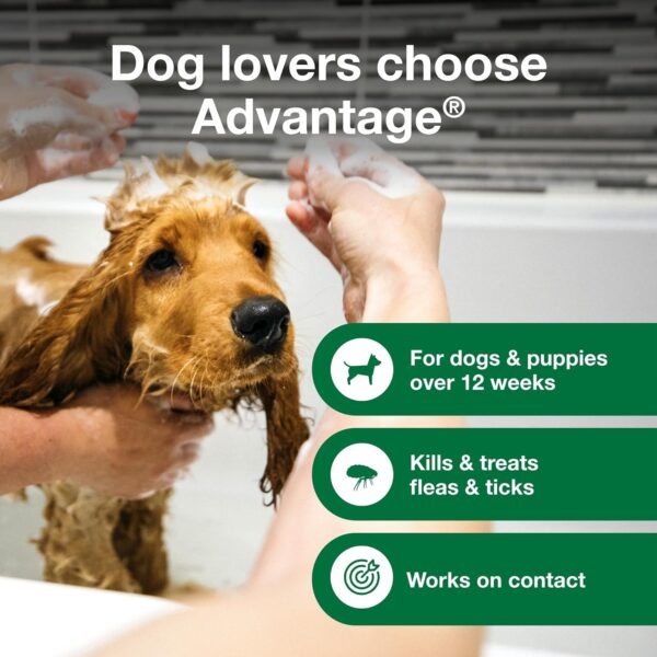 Advantage Dog Flea & Tick Shampoo for Puppies & Adult Dogs | Kills Fleas & Ticks | 12 oz. - Image 4