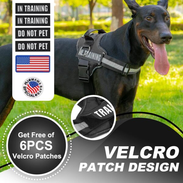 Essential Dog Harness with 3 Leash Clips - No-Pull, Adjustable, Comfortable Pet Vest Harness for Small to Large Dogs - Easy On, No Choke, Reflective, Padded Harness for Walking and Training - Image 2