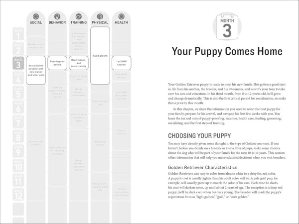 Your Golden Retriever Puppy Month by Month: Everything You Need to Know at Each Stage to Ensure Your Cute and Playful Puppy (Your Puppy Month by Month) - Image 2