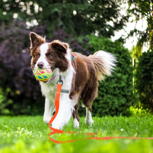 30ft Orange Long Leash Waterproof Training Dog Leash， Easy Care Leash Fit for Recall， Swimming， Camping， Beach， Hunting， Walking - Image 6