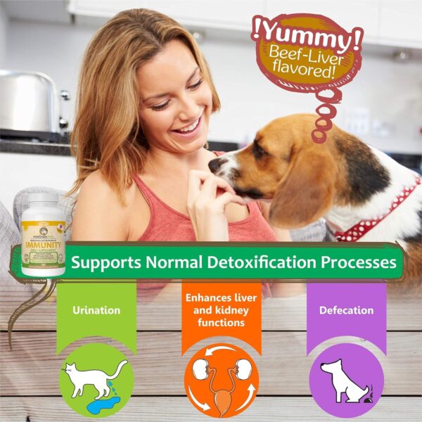 Immune Support Dog Supplement - Dog Allergy Relief with Vitamins, Minerals, Echinacea and Brewers Yeast for Dogs - Immunity Dog Health Supplies, Dog Itch Relief - Cat & Dog Vitamins and Supplements - Image 5