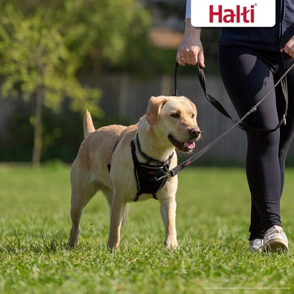 HALTI No Pull Harness - To Stop Your Dog Pulling on the Leash. Adjustable, Lightweight and Easy to Use. Reflective Dog Training Harness for Medium Dogs (Size M) - Image 4