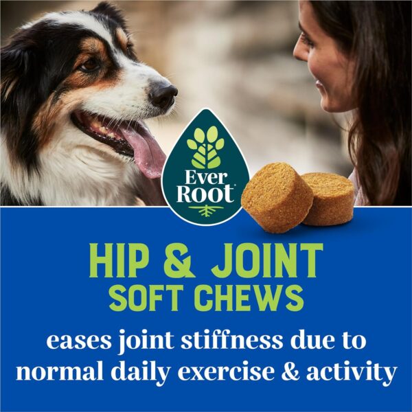 by Purina Hip and Joint Dog Supplements Soft Chews - 10.6 oz. Canister - Image 2