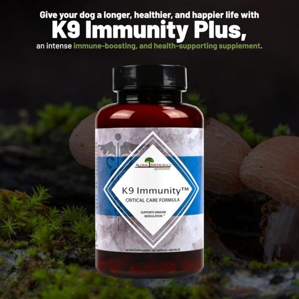 K9 Immunity, Immune Support Supplement for Dogs, Organic and Mushroom Enhanced Dog Health Supplies, Pack of 2, 90 Capsules Each - Image 2