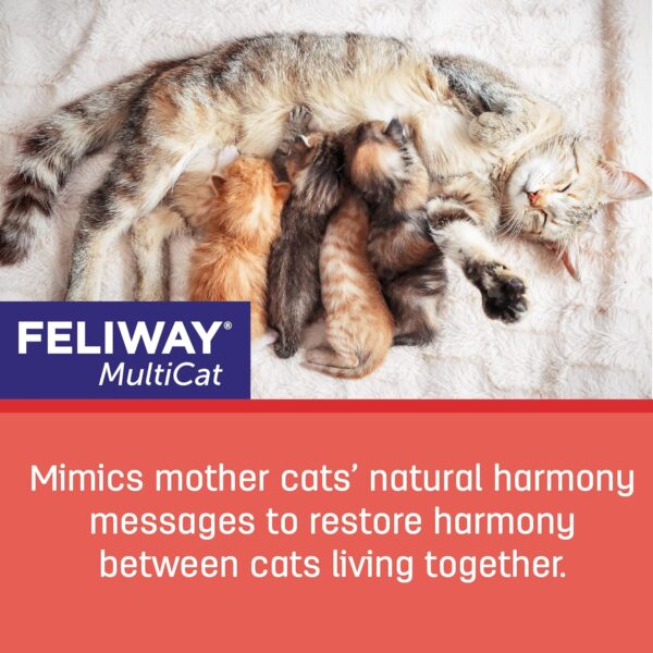 FELIWAY MultiCat Calming Pheromone, 30 Day Refill - 3 Pack - Image 4