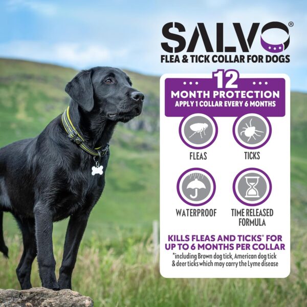 SALVO Flea and Tick Collar for Dogs - Pack of 2 for 12 Months of Protection - Flea and Tick Prevention for Dogs (Large) - Image 3