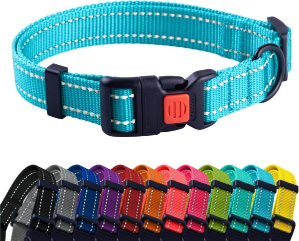 CollarDirect Reflective Dog Collar for a Small, Medium, Large Dog or Puppy with a Quick Release Buckle - Boy and Girl - Nylon Suitable for Swimming (14-18 Inch, Light Blue)