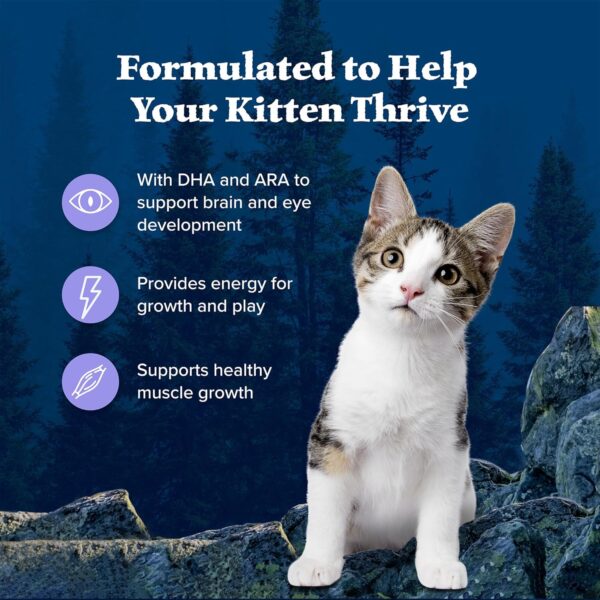 Blue Buffalo Wilderness Natural Kitten Dry Cat Food, with DHA and ARA to Support Brain and Eye Development, High-Protein and Grain-Free Diet, Chicken, 5-lb. Bag - Image 4