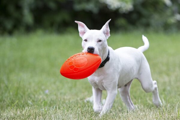 Jolly Pets Football Dog Toy, 8 Inches, Orange - Image 2