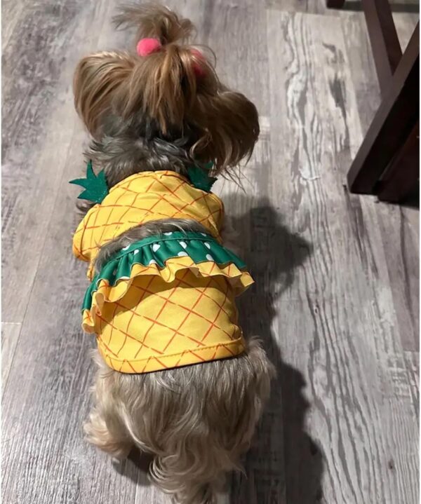 Funny Dog Swimwear Bikini Summer Dog Clothes Beach Swimsuit Puppy Bathing Suit Puppy Vest Cooling Dog Shirts Pet Shirt for Small Dog, Cat Apparel (Large, Yellow Pineapple) - Image 8