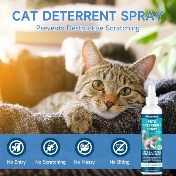 Cat Deterrent Spray, Dog and Cat Repellent Indoor & Outdoor, Cat Spray Deterrent for Scratching, Dog Deterrent Spray to Keep Pet Off Limits Areas, Protect Furniture, Sofa, Rug, Curtain, 200 ml - Image 2