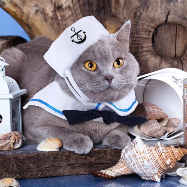 5 Pieces Halloween Cat Sailor Costume Set Dog Captain Hat Sailor Hat Cat Captain Navy Sailor Suit Small Pet Sunglasses Cravat Neck Tie for Cat Puppy Photo Props Costume Party Accessories - Image 5