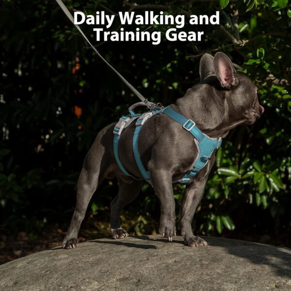 Escape Proof Dog Harness, No Pull Reflective Harness with Lift Handle, Adjustable Pet Vest with Front and Back Leash Clips for Small Medium Large Dogs Walking Hiking Training (Teal,L) - Image 7