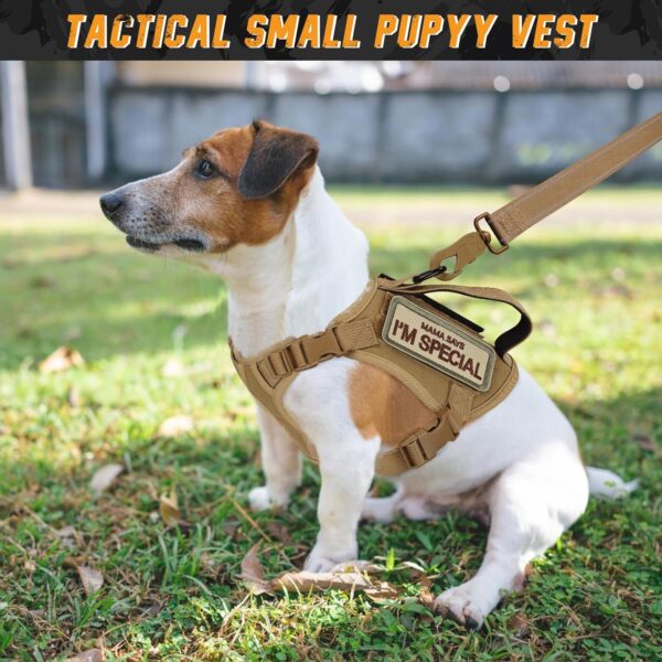 Tactical Dog Harness for Small Dogs, Military Puppy Vest Outdoor Training Dog Harness and Leash, Adjustable Service Dog Vest Harness with Handle，3 Patches - Image 7