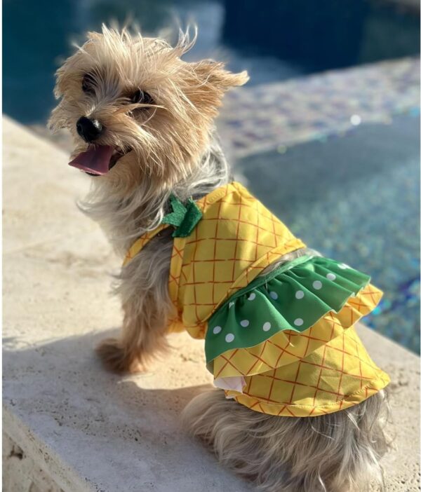 Funny Dog Swimwear Bikini Summer Dog Clothes Beach Swimsuit Puppy Bathing Suit Puppy Vest Cooling Dog Shirts Pet Shirt for Small Dog, Cat Apparel (Large, Yellow Pineapple) - Image 2