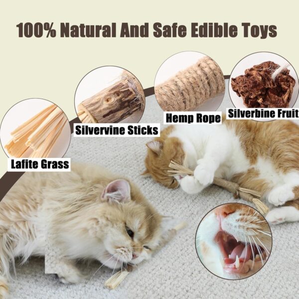 Interactive Cat Toys with Silvervine Cat Chew Toy Sets - Cat Toy for Indoor Cats Suction Cup Cat Wand Toy with Rope Cat Toys Door Hanging Kitten Toys, Detachable Feather/String/Mouse/Worm Cat Toys ﻿ - Image 5