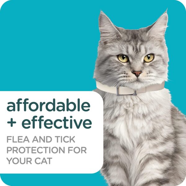 Sergeant's Guardian Pro Flea & Tick Cat Collar, 1 Count - Image 4