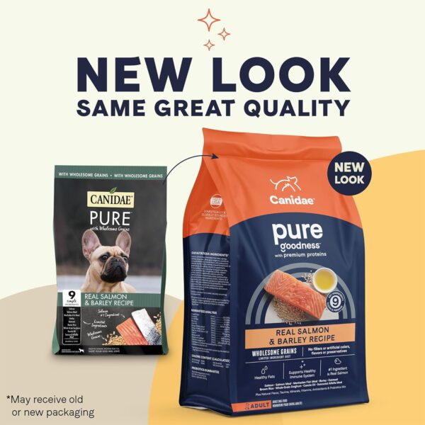 CANIDAE Pure Limited Ingredient Premium Adult Dry Dog Food, Real Salmon & Barley Recipe, 4 lbs, with Wholesome Grains - Image 2