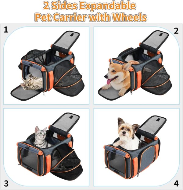 LOOBANI Pet Carrier with Wheels, Large Pet Carrier Not Airline Approved for Small & Medium Dogs Puppy Up to 25 LBS Dog Carrier, Cat Carrier Go Out Convenient and Easy Travel Vet Visit (20"x13"x13") - Image 6