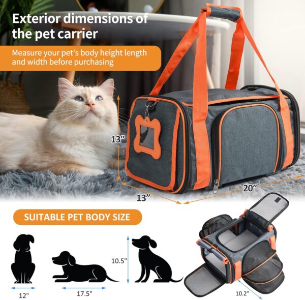 LOOBANI Pet Carrier with Wheels, Large Pet Carrier Not Airline Approved for Small & Medium Dogs Puppy Up to 25 LBS Dog Carrier, Cat Carrier Go Out Convenient and Easy Travel Vet Visit (20"x13"x13") - Image 2