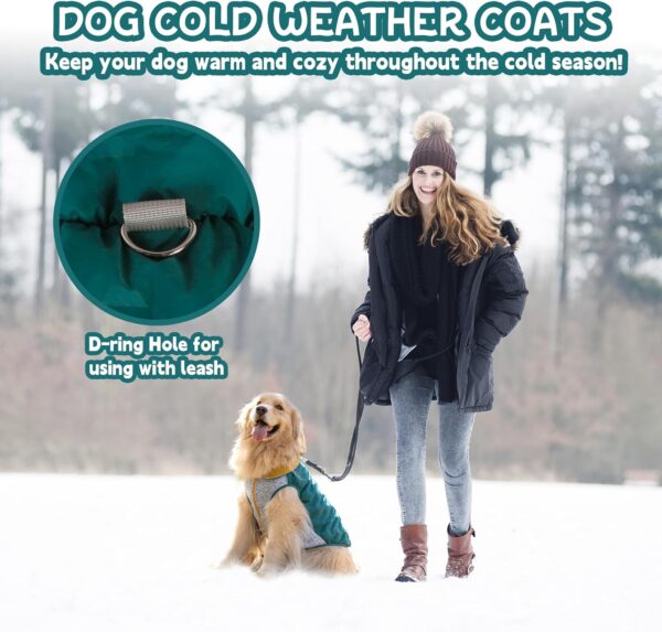 Dog Cold Weather Coats Dog Winter Jacket with Thicken Collar Warm Dog Coats for Cold Weather Waterproof Windproof Dog Jackets with Zipper & Reflective Strip (Green, M) - Image 7