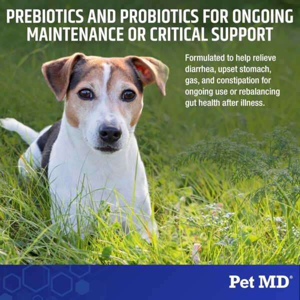 Pet MD Biotic Probiotics for Dogs & Cats - Prebiotic, Fiber, & Probiotic Powder - Gas, Constipation Relief, & Anti Diarrhea - Balance Digestive Flora & Restore Gut Health for Dogs & Cats - 2.12 oz - Image 2