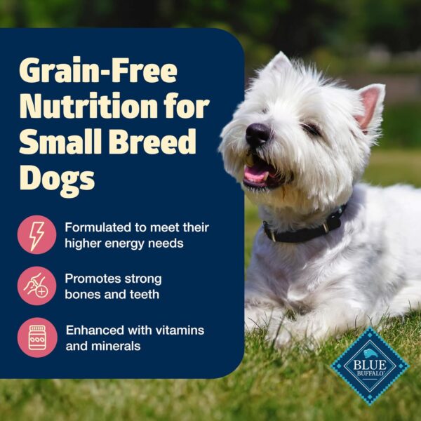 Blue Buffalo Freedom Grain-Free Small Breed Dry Dog Food, Supports High Energy Needs, Made in the USA With Natural Ingredients, Chicken & Potatoes, 11-lb. Bag - Image 3