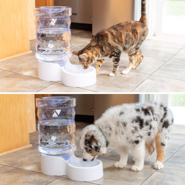 PetFusion H2O Gravity Pet Water Dispenser. Durable 2.5 Gallon Waterer Feeder. Automatic Station for Cats & Small, Medium, Large Dogs, Transparent - Image 3