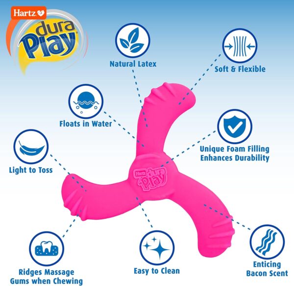 Hartz DuraPlay Bacon Scented Dog Toys, Medium/Large ( Colors may vary ) All Breed Sizes - Image 2