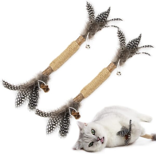 PAZ'S GIFT Catnip Toy Cat Toys Catnip Toy cat chew Toy cat Kicking silvervine Stick Teeth Cleaning Cute Kitten Teething Indoor Interactivecat Dental Care Matatabi (Feather 2pcs)