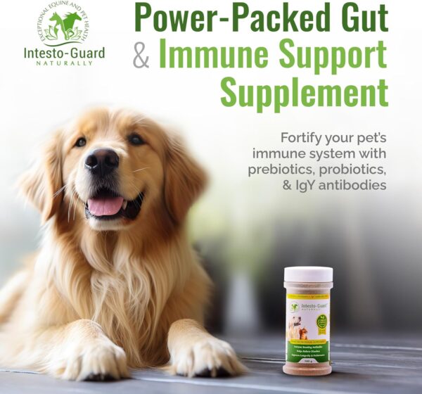 Powder Probiotics 90 Scoops​ for Dogs & Cats Bowel Digestive Immune Support Supports Gut Flora Nutrition Immunity 180G Bottle - 90 Scoops​ (Powder) - Image 2