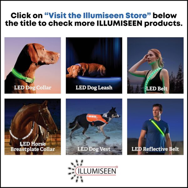 Illumiseen LED Dog Collar USB Rechargeable - Bright & High Visibility Lighted Glow Collar for Pet Night Walking - Weatherproof, in 6 Colors & 6 Sizes (Blue Large) - Image 9