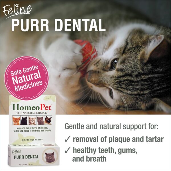 HomeoPet Feline Purr Dental, Dental Care for Cats, 15 Milliliters - Image 2