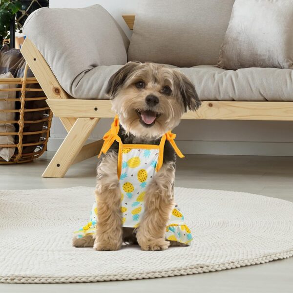 4 Pieces Pet Clothes Set Include 2 Pieces Cute Pet Dress Lovely Fruit Dog Dress and 2 Pieces Dog Shirt Breathable Pet T-Shirt Puppy Clothes for Pet (Pineapple, Sunflower,Medium) - Image 6