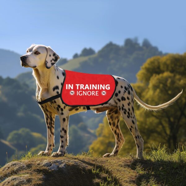 HOLLP Training Dog Jacket Vest in Training Ignore Dog Vest Dog Walking Jacket Warning Vest (in Training Ignore-Large) - Image 3