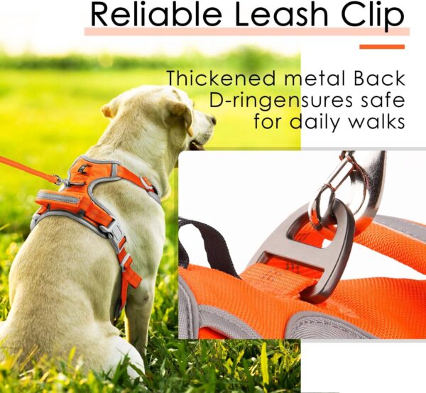 ThinkPet No Pull Harness set Breathable Sport Harness with Handle - Reflective Padded Dog Safety Vest with Reflective Neon Dog Leash S Harness Leash Pack Orange - Image 7