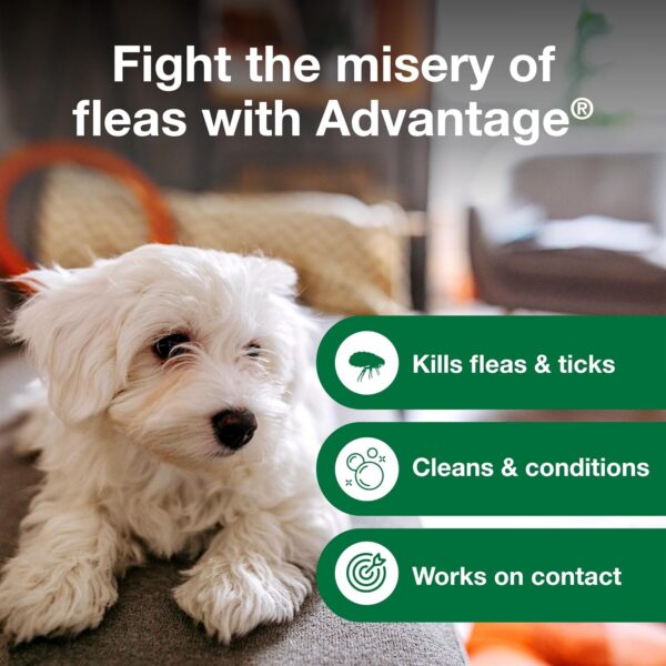 Advantage Dog Flea & Tick Shampoo for Puppies & Adult Dogs | Kills Fleas & Ticks | 12 oz. - Image 6