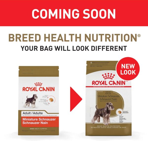 Royal Canin Miniature Schnauzer Adult Breed Specific Dry Dog Food, 10 lb Bag - Image 6