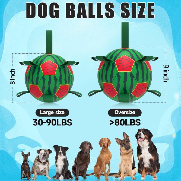 QDAN Watermelon Ball Dog Water Toys- Waterproof Dog Soccer Ball with Straps, Dog Beach Balls for Summer Outdoor Games Swimming Pool with Family Kids, Outdoor Dog Toys (8 inch) - Image 6