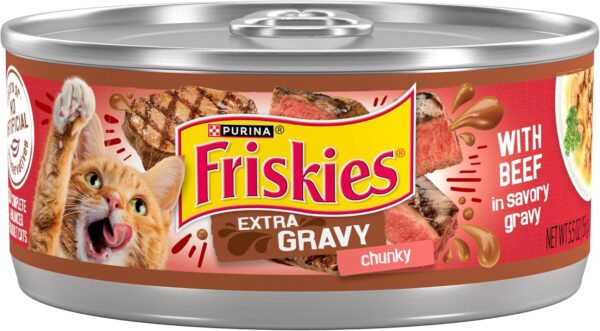 Purina Friskies Gravy Wet Cat Food, Extra Gravy Chunky With Beef in Savory Gravy, Beef - Chunky, 5.50 Ounce (Pack of 24)