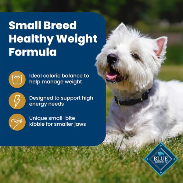 Blue Buffalo Life Protection Formula Healthy Weight Natural Small Breed Dry Dog Food, Supports an Ideal Weight, Made with Natural Ingredients, Chicken & Brown Rice Recipe, 15-lb. Bag - Image 4