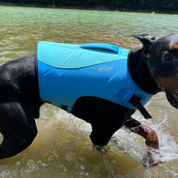 Dog Life Jacket, Sport Style Dog Float Coat with Excellent Buoyancy, Stylish Dog Swimming Safety Vest with Rescue Handle for Small Medium Large Dogs Turquoise S - Image 8