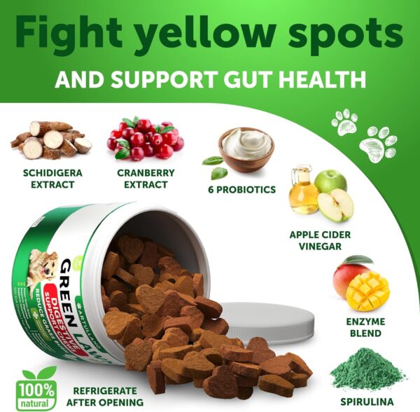 Grass Burn Spot Chews for Dogs - Dog Pee Lawn Spot Saver Caused by Dog Urine - Grass Treatment Rocks - Dog Urine Neutralizer for Lawn - Probiotics & Digestive Enzymes Supplement - Image 4